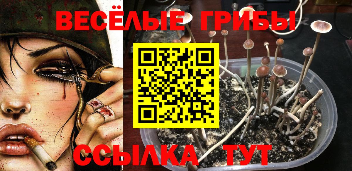 Мценск  Галлюциногенные грибы ЛСД  что такое наркотик  Вход с VPN 